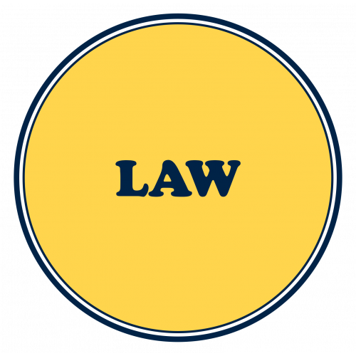 CA Inter Law
